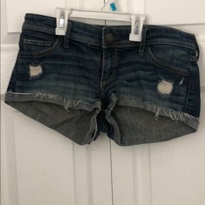 never worn hollister shorts